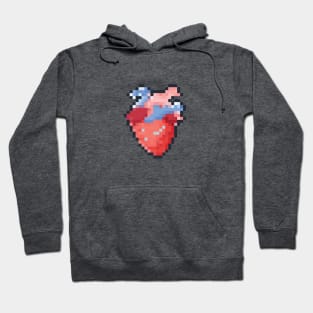 Anatomical Pixel Heart Hoodie